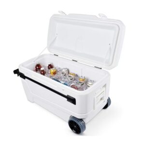 Igloo Cooler