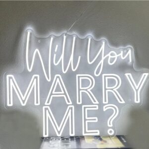 Will you marry me Neon sign cold white