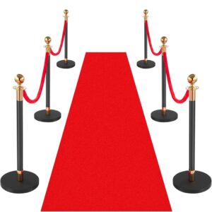 Black Stanchions with Red Velvet Ropes